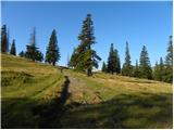 Za Ušivcem - Gradišče (Velika planina)